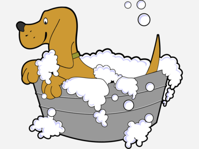 Dog Wash Club NYC is Now Open